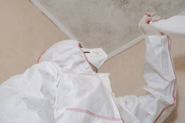 Best Mold Prevention Services  in USA